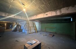 Spatiu comercial, 490 mp, zona Burdujeni