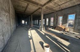 Spatiu comercial, 490 mp, zona Burdujeni