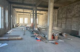 Spatiu comercial, 490 mp, zona Burdujeni