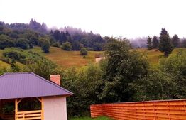 Casa traditionala in Bucovina, 5 camere, 140 mp,  teren 1100 mp, Vama
