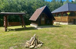Casa traditionala in Bucovina, 5 camere, 140 mp,  teren 1100 mp, Vama