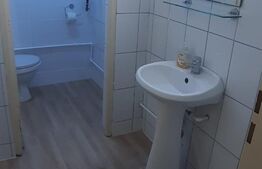 Oportunitate! Spatiu comercial, 220 mp, Renovat recent, locuri de parcare, zona Centrala