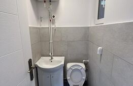 Spatiu comercial, Modern, 20 mp, zona Centrala