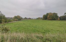 Teren intravilan 14406 mp, 3 parcele, Mitocul Dragomirnei