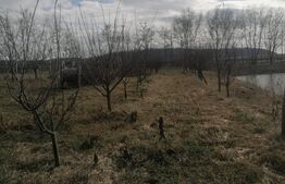 Oportunitate! Teren cu iaz piscicol si loc de relaxare!