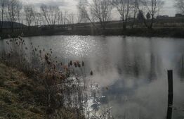 Oportunitate! Teren cu iaz piscicol si loc de relaxare!