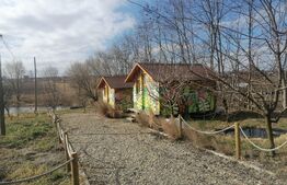 Oportunitate! Teren cu iaz piscicol si loc de relaxare!