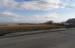 Teren intravilan, 9800 mp, localitate Frumoasa