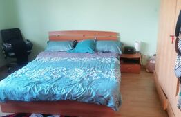 Casa individuala, 150mp, Moara