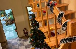 Casa individuala, 150mp, Moara