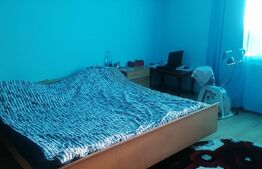 Casa individuala, 150mp, Moara