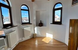 Oportunitate! Cladire cu destinatii multiple, 250 mp, zona Centrala