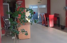 Oportunitate! Spatiu comercial cu destinatie catering, 80 mp, zona Ipotesti