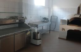 Oportunitate! Spatiu comercial cu destinatie catering, 80 mp, zona Ipotesti