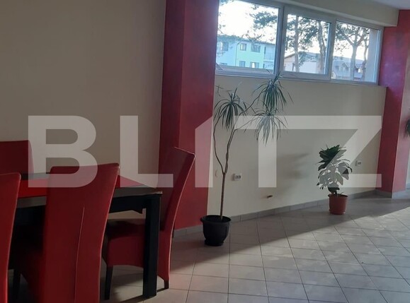 Spațiu comercial de închiriat Ipotesti - 109536SIC | BLITZ Suceava | Poza9