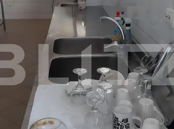 Spațiu comercial de închiriat Ipotesti - 109536SIC | BLITZ Suceava | Poza7