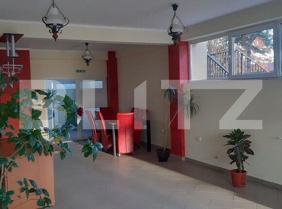 Spațiu comercial de închiriat Ipotesti - 109536SIC | BLITZ Suceava | Poza1