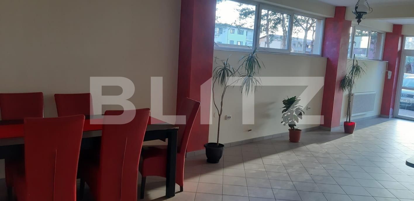 Spațiu comercial de închiriat Ipotesti - 109536SIC | BLITZ Suceava | Poza9