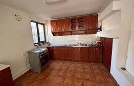 Oportunitate de investitie! Casa individuala pretabila pentru diferite activitati ,250 mp utili, zona Centrala