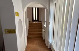 Oportunitate de investitie! Casa individuala pretabila pentru diferite activitati ,250 mp utili, zona Centrala