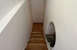 Oportunitate de investitie! Casa individuala pretabila pentru diferite activitati ,250 mp utili, zona Centrala