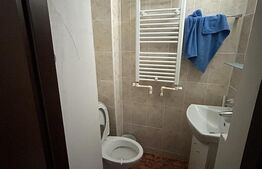 Oportunitate de investitie! Casa individuala pretabila pentru diferite activitati ,250 mp utili, zona Centrala