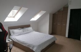 Casa 5 camere, 430mp, Scheia