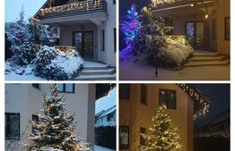 Casa 5 camere, 430mp, Scheia