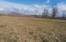 Teren intravilan, 21000mp, Est