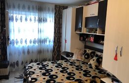 Garsoniera, 24 mp, etaj intermediar, Zona Burdujeni