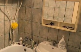 Garsoniera, 24 mp, etaj intermediar, Zona Burdujeni