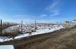 Teren Intravilan, 3500 mp in Moara 