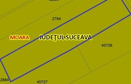 Teren Intravilan, 3500 mp in Moara 