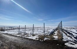 Teren Intravilan, 3500 mp in Moara 