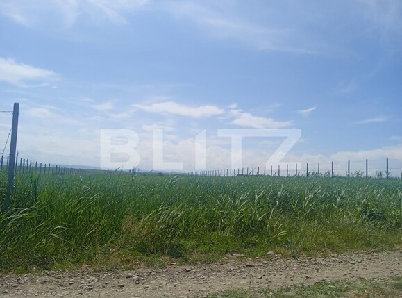 Teren de vânzare Periferie - 110399TV | BLITZ Suceava | Poza3