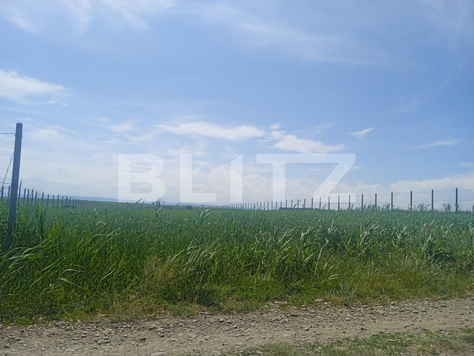 Teren de vânzare Periferie - 110399TV | BLITZ Suceava | Poza3