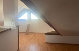 Casa individuala, 274mp, 1000mp teren, comuna Mihoveni, jud Suceava