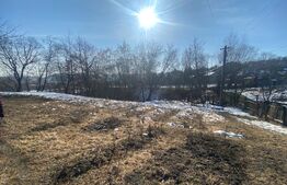 Casa individuala pe un singur nivel, 76 mp, 1300 mp teren, jud Suceava