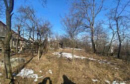 Casa individuala pe un singur nivel, 76 mp, 1300 mp teren, jud Suceava