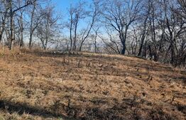 Casa individuala pe un singur nivel, 76 mp, 1300 mp teren, jud Suceava