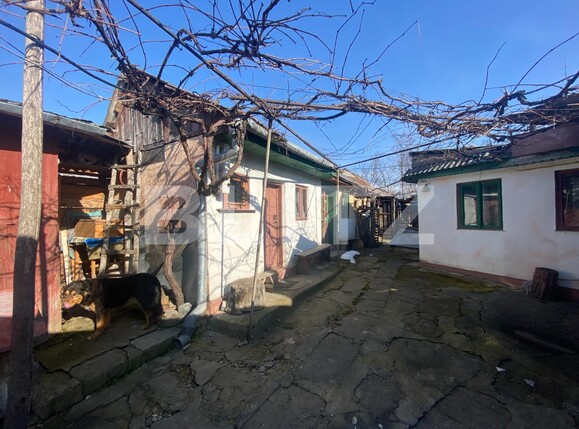 Casa de vânzare 4 camere Central - 110406CV | BLITZ Suceava | Poza7