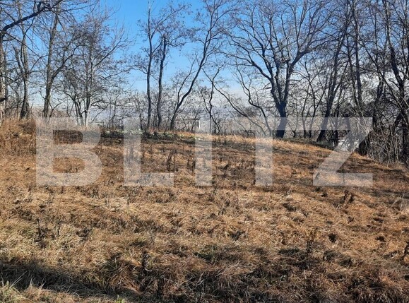 Casa de vânzare 4 camere Central - 110406CV | BLITZ Suceava | Poza3