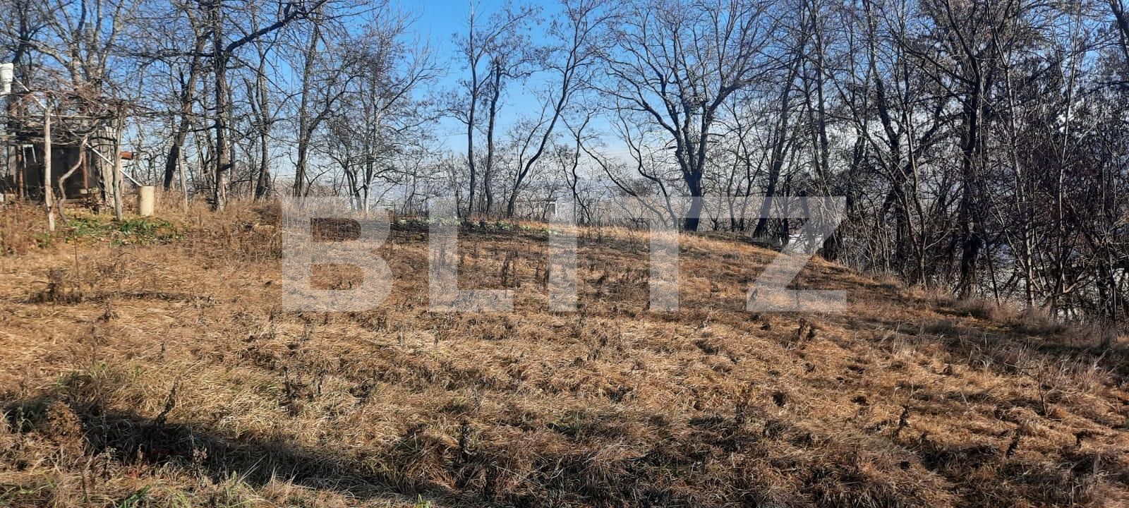 Casa de vânzare 4 camere Central - 110406CV | BLITZ Suceava | Poza3