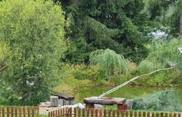 Domeniu situat la poalele Calimanilor