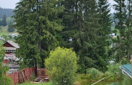 Domeniu situat la poalele Calimanilor