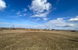 Teren intravilan 2900 mp, pretabil pentru construirea de hale, zona Laniste Burdujeni