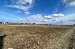 Teren intravilan 2900 mp, pretabil pentru construirea de hale, zona Laniste Burdujeni