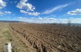 Ocazie! Teren Intravilan, 4.782 mp (trei parcele a câte 1.594 mp),  zona Itcani