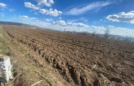 Ocazie! Teren Intravilan, 4.782 mp (trei parcele a câte 1.594 mp),  zona Itcani