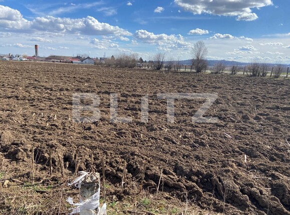 Teren de vânzare Itcani - 110889TV | BLITZ Suceava | Poza4
